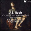 Philippe Herreweghe 바흐: 칸타타 (Bach: Cantatas BWV21, 42)