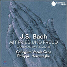 Philippe Herreweghe 바흐: 칸타타 (Bach: Cantatas BWV8, 125, 138)