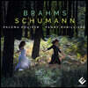 Fanny Robilliard 브람스 / 슈만: 바이올린 소나타 외 (Brahms / Schumann: Violin Sonata etc.)