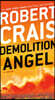 Demolition Angel