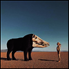 Man Man - Dream Hunting In The Valley Of The In-Between (2LP)
