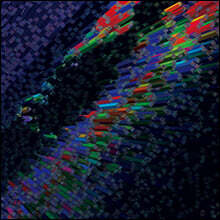 이날치 - 1집 수궁가 [LP]