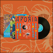 Sufjan Stevens &amp; Lowell Brams (수프얀 스티븐스 &amp; 로웰 브람스) - Aporia [LP]