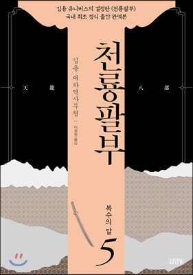 천룡팔부 5