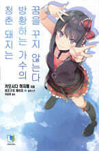 청춘 돼지는 방황하는 가수의 꿈을 꾸지 않는다