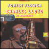 Charles Lloyd (찰스 로이드) - Forest Flower [LP]