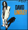David Lindley (데이빗 린들리) - 1집 El Rayo-X [LP]