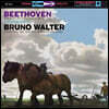 Bruno Walter 베토벤: 교향곡 6번 '전원' - 브루노 발터 (Beethoven: Symphony Op.68 `Pastoral`) [LP]