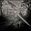 Doug Tuttle - Dream Road (LP)