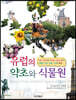 유럽의 약초와 식물원 : 약초의 한방 효능과 이용법