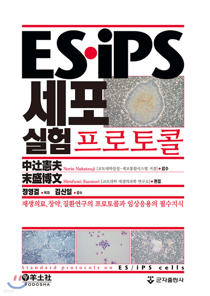 ES&#183;iPS 세포실험 프로토콜