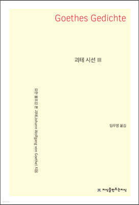괴테 시선 3 - 지식을만드는지식 시선집