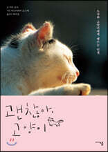 괜찮아, 고양이