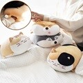 [모찌타운] 뚠뚠 손넣는 책상 낮잠베개 쿠션