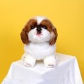 위더펫 리얼 강아지 인형 시츄