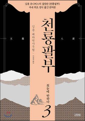 천룡팔부 03