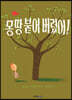 몽땅 붙어 버렸어!
