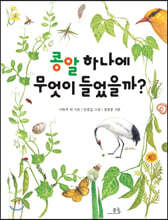 콩알 하나에 무엇이 들었을까?