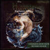 Richard Hickox 하이든: 넬슨 미사 (Haydn: Nelson Mass)