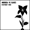 Scott Amendola / Wil Blades - Everybody Wins (LP)
