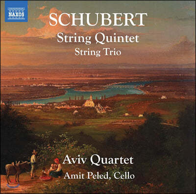 Aviv Quartet 슈베르트: 현악오중주, 현악삼중주 (Schubert: String Quintet D956, String Trio D581)