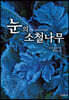 눈의 소철나무