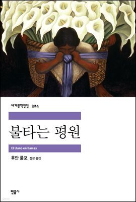 불타는 평원 - 세계문학전집 324