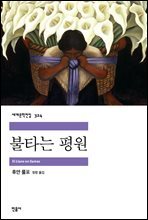 불타는 평원 - 세계문학전집 324