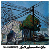 Nana Grizol - South Somewhere Else (LP)