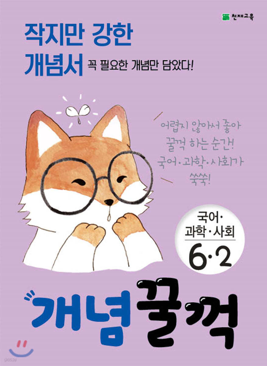 개념 꿀꺽 국어&#183;과학&#183;사회 6-2 (2021년용)