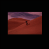Bing & Ruth - Species (2LP)