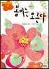 봄비는 모른다