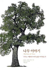 나무 이야기
