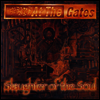 At The Gates - Slaughter Of The Soul (LP)
