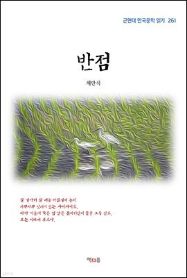 채만식 반점 (근현대 한국문학 읽기 261)