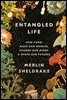 Entangled Life