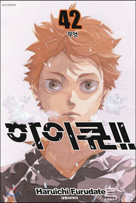 하이큐!! 42