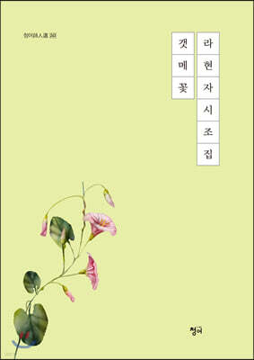 갯메꽃