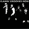 Flamin' Groovies - Now (CD)