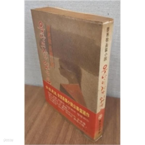 우단의자가 있는 읍 - 조혜경 장편소설 (1980 초판)