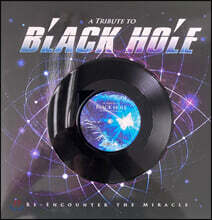 블랙홀 데뷔 30주년 기념 헌정 앨범 (Black Hole - Re-encounter the Miracle) [2LP]