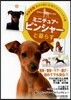ミニチュア.ピンシャ-と暮らす
