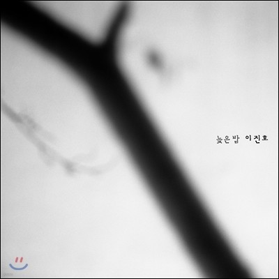 이진호 - 늦은밤