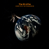 Tim Bluhm - Gone With The Windshield (MP3 Download)(Gatefold)(Colored LP)
