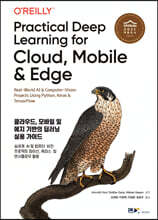클라우드, 모바일 및 에지 기반의 딥러닝 실용가이드