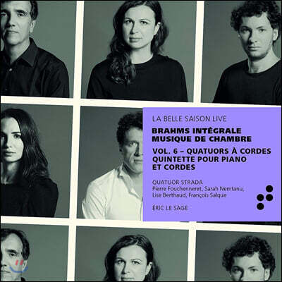 Eric Le Sage 브람스: 현악사중주 전곡, 피아노 5중주 (Brahms Integrale Musique de Chambre Vol.6)