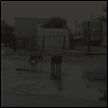 NIVHEK - After Its Own Death / Walking In A Spiral Towards The House (2LP)