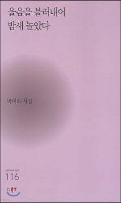 울음을 불러내어 밤새 놀았다
