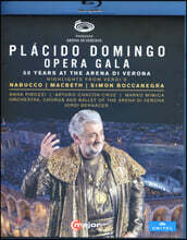 플라시도 도밍고 베로나 데뷔 50주년 기념 오페라 갈라 (Placido Domingo - Opera Gala)