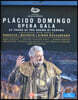 플라시도 도밍고 베로나 데뷔 50주년 기념 오페라 갈라 (Placido Domingo - Opera Gala)
